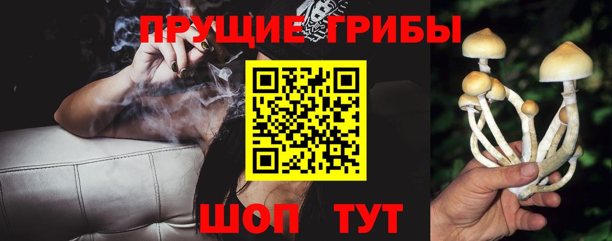 Псилоцибиновые грибы Psilocybe Туймазы