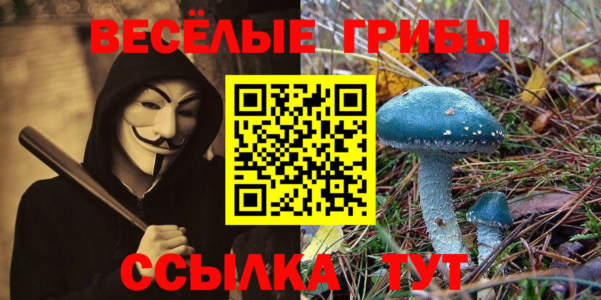 Туймазы  Псилоцибиновые грибы мухоморы  Вход с VPN  Галлюциногенные грибы Cubensis 
